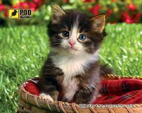 Podmyshku
Килимок для миші Кошеня у кошику