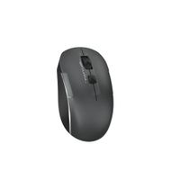 Миша бездротова безшумна Fstyler, Bluetooth / 2.4 ГГц, вбудований акумулятор, 2000DPI, сірий+чорний