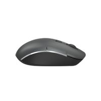 Миша бездротова безшумна Fstyler, Bluetooth / 2.4 ГГц, вбудований акумулятор, 2000DPI, сірий+чорний