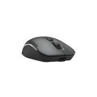Миша бездротова безшумна Fstyler, Bluetooth / 2.4 ГГц, вбудований акумулятор, 2000DPI, сірий+чорний