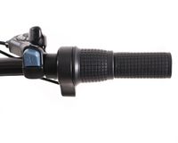 Електричний велосипед CITY 2.0 250W (срібло)