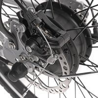 Електричний велосипед CITY 2.0 250W (срібло)