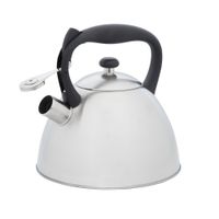 Чайник із свистком, колекція "GEMINI", 3 л