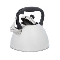 Чайник із свистком, колекція "GEMINI", 3 л