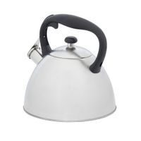 Чайник із свистком, колекція "GEMINI", 3 л