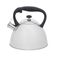 Чайник із свистком, колекція "GEMINI", 3 л