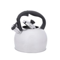 Чайник із свистком, колекція "PERSEUS", 3 л