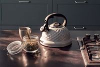 Чайник із свистком, колекція "ALMAAZ", 2.7 л