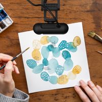 Вебкамера 1080 P, USB-A/C 3.0, вбудований мікрофон, кріплення 1/4" під штатив, Auto & Manual Focus