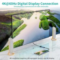 Адаптер-перехідник USB-C на DP, 4К 60 Гц