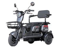 Maxxter
Електроскутер триколісний 1000 Вт, сірий